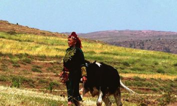 Trek et randonnée au Maroc