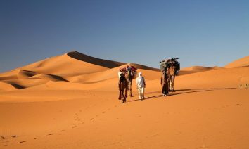 Trek et randonnée au Maroc