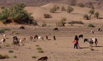 Trek et randonnée au Maroc