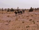 Trek et randonnée au Maroc